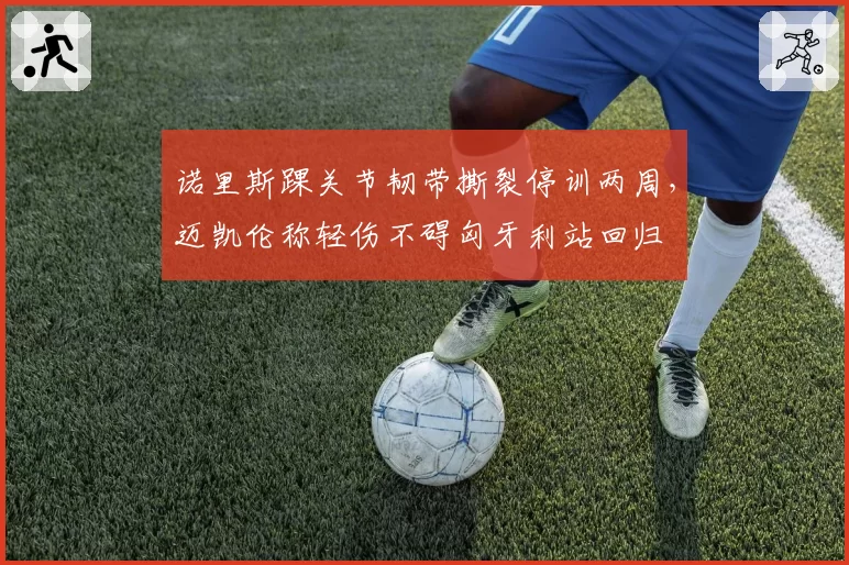 诺里斯踝关节韧带撕裂停训两周，迈凯伦称轻伤不碍匈牙利站回归