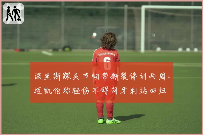 诺里斯踝关节韧带撕裂停训两周，迈凯伦称轻伤不碍匈牙利站回归