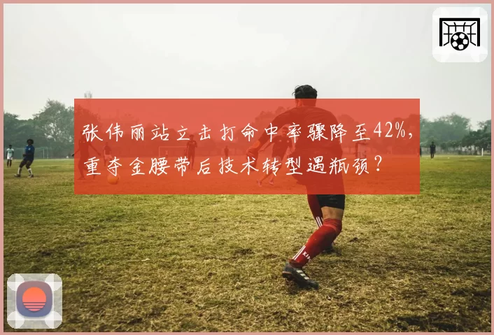 张伟丽站立击打命中率骤降至42%,重夺金腰带后技术转型遇瓶颈?