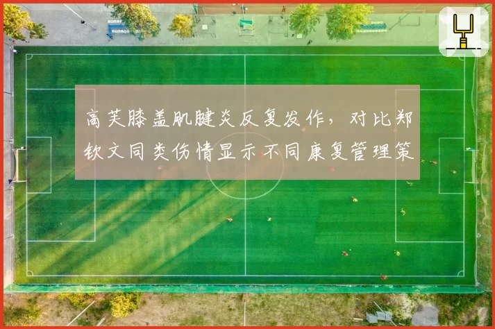 高芙膝盖肌腱炎反复发作，对比郑钦文同类伤情显示不同康复管理策略